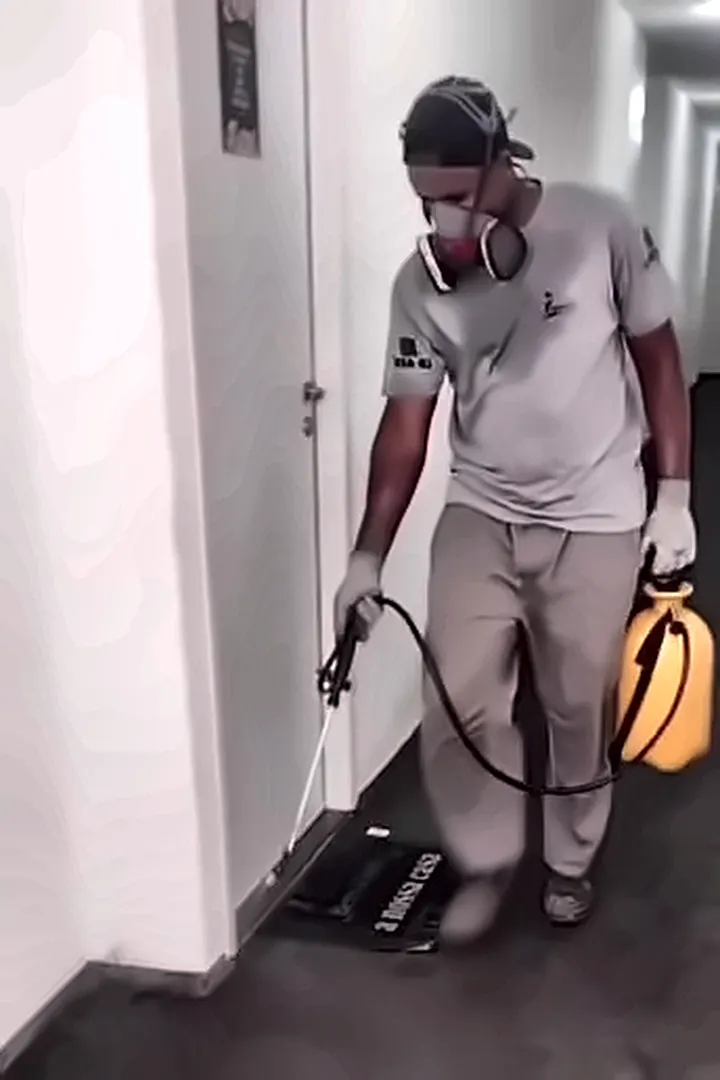 Técnico de máscara aplica produto no rodapé do corredor de um prédio